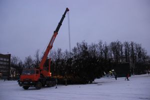 Новогодняя ёлочка приехала наконец в Великие Луки (ФОТО)