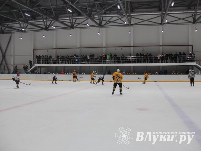 Определилась команда, которая будет представлять город на Кубке области по хоккею (ФОТО)