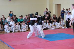 В Великих Луках прошло ​первенство города по ВБЕ «Кобудо» (ФОТО)