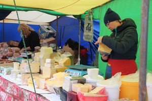 В Великих Луках прошла универсальная ярмарка «Весна-2019» (ФОТО)