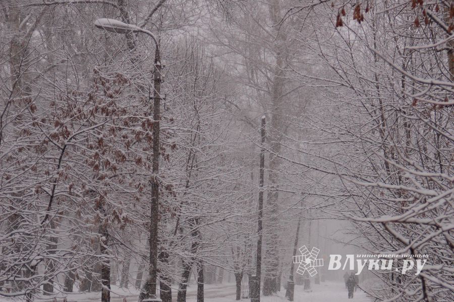 В Великих Луках снегопад и «день жестянщика» (фото)