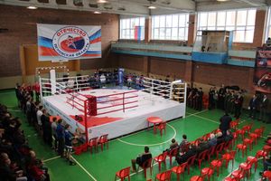 В Великих Луках прошел международный открытый Кубок по смешанному боевому единоборству (ФОТО) (16+)