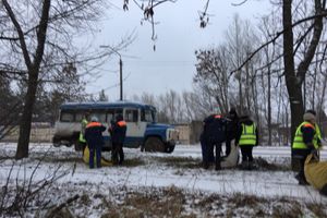 На проспекте Гагарина идет формовка деревьев (ФОТО)