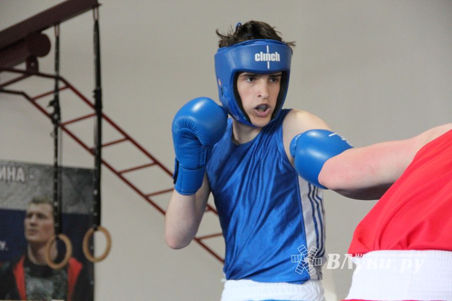 В Великих Луках завершился открытый турнир по боксу (ФОТО)