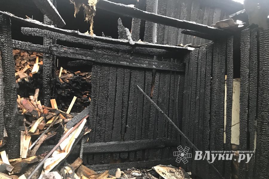В результате поджога в Великих Луках пострадал 1 человек (ФОТО)