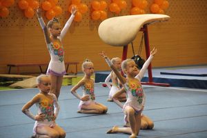 Парад гимнастики