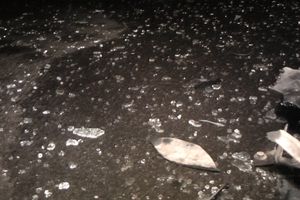 В Великих Луках столкнулись «ВАЗ 2115» и «Ауди А5» (ФОТО)