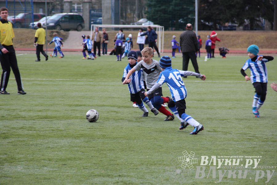 В Великих Луках прошел международный детский турнир по футболу «Наши надежды»