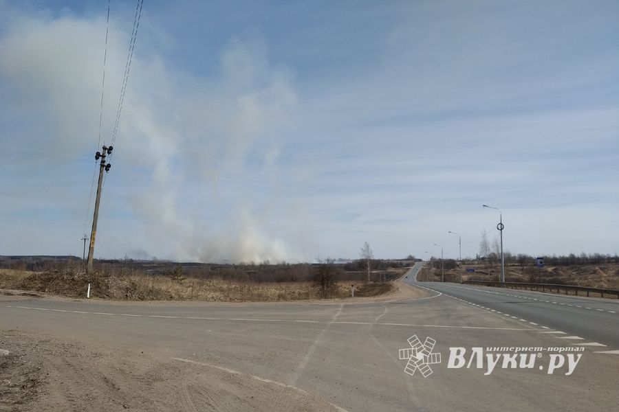 Почти 60 палов травы тушили пожарные Псковской области (ФОТО)
