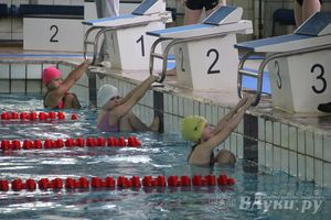 В Великих Луках прошли соревнования по плаванию «Весёлый дельфин» 