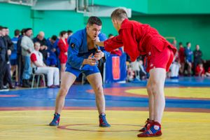 Фото: Александр Воробьев Великолучане завоевали награды Всероссийских соревнований по самбо