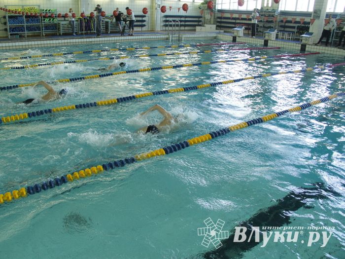 В Великих Луках прошел Чемпионат и Кубок города по плаванию (фото)