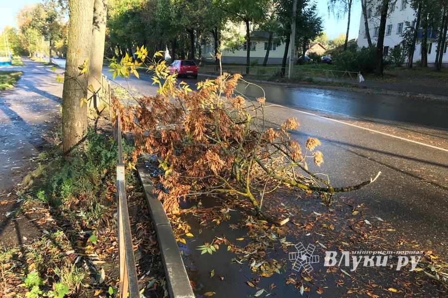 В Великих Луках стихия наломала немало (ФОТО)
