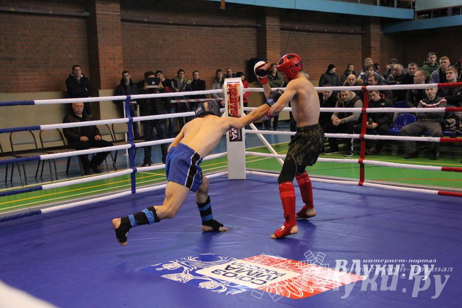 В Великих Луках прошел межрегиональный Открытый Кубок по смешанному боевому единоборству (фото)