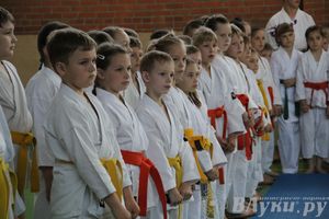 Турнир по каратэ