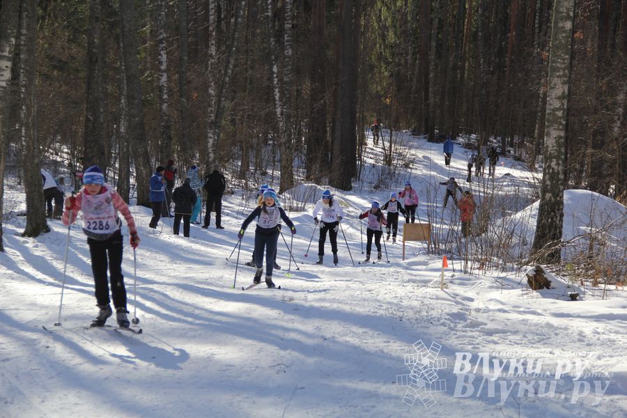 Всероссийская массовая лыжная гонка «Лыжня России 2015» состоялась в Великолукском районе (фото)