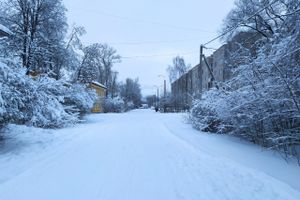 ©ВЛуки.ру