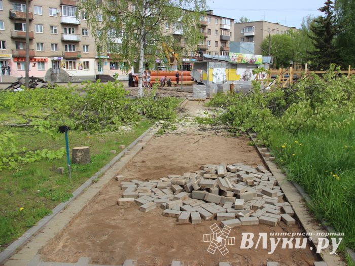 На площади Калинина убирают лишние деревья (ФОТО)
