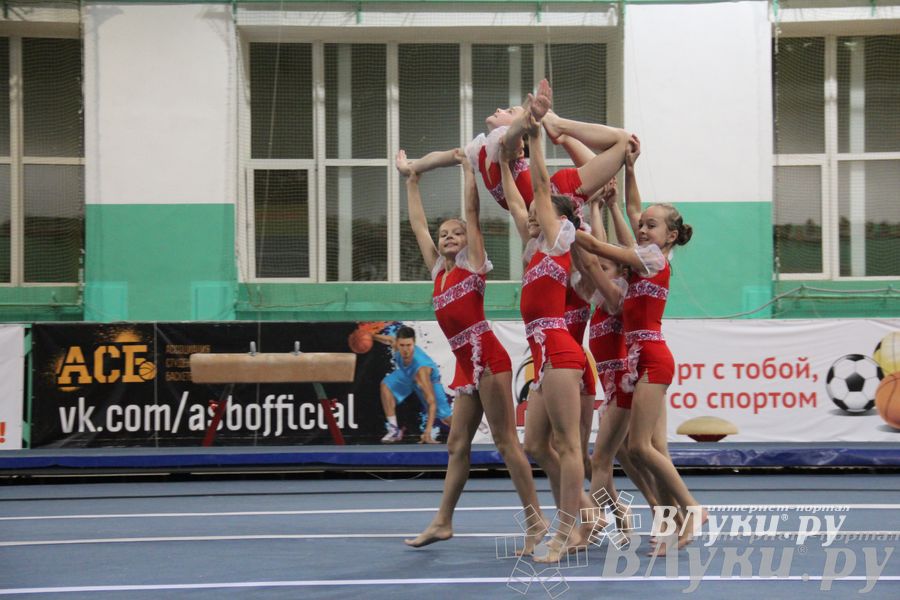 «Парад гимнастики» прошел в Великих Луках (фото)