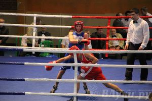 16-й Международный турнир по боксу (фото)