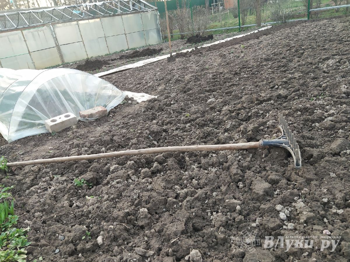 Двое жителей Великолукского района подрались из-за земельных участков