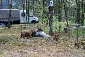 Традиционный городской туристский слет, посвященный Великой Победе