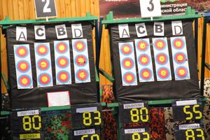 В Великих Луках проходят соревнования по стрельбе из лука (ФОТО)