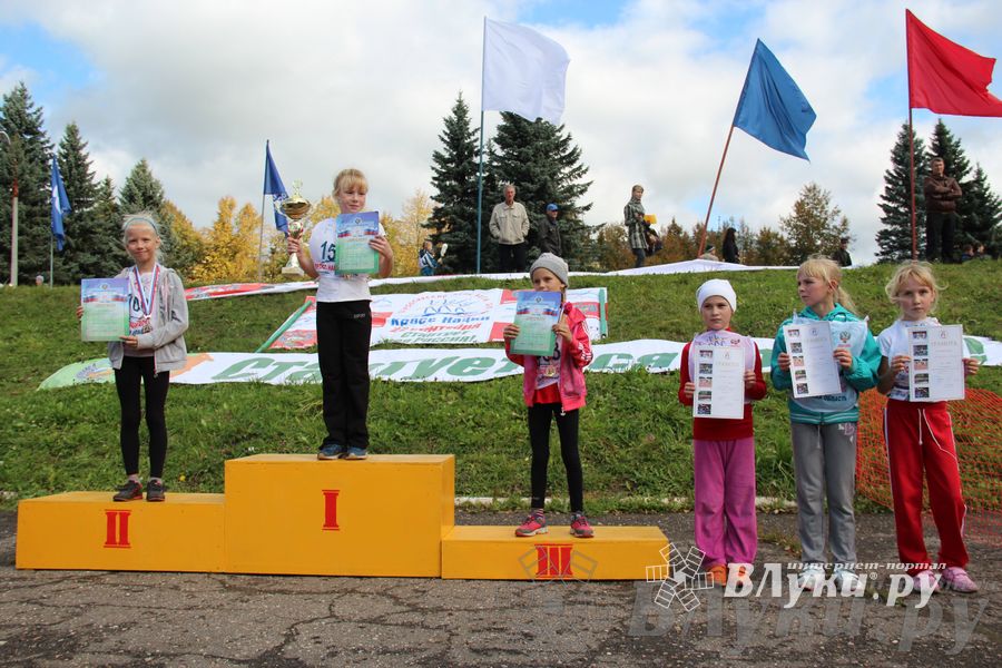 Кросс нации