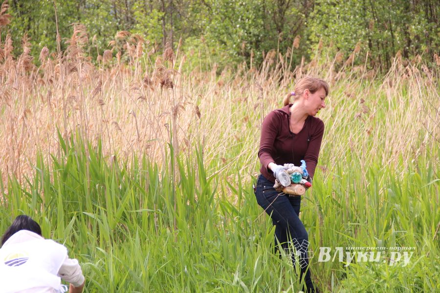 «Партия Дела» делает дело