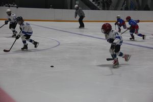 Детский турнир по хоккею прошел в Великих Луках (ФОТО)