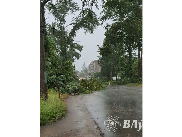 Весь ужас вчерашнего урагана в Великих Луках и районе (ФОТО, ВИДЕО)