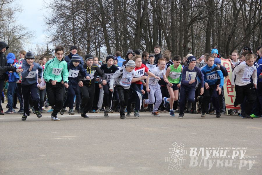 Лично-командный городской легкоатлетический весенний кросс