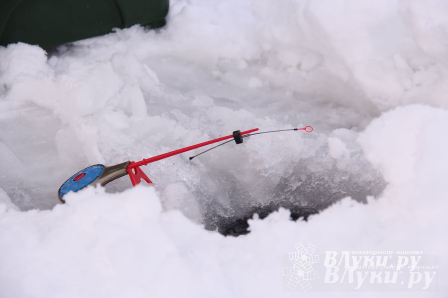 Подведены итоги Открытого чемпионата Великих Лук по рыболовному спорту (фото)