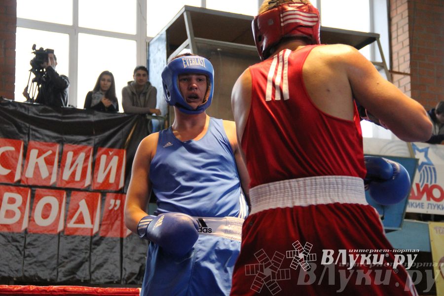 16-й Международный турнир по боксу (фото)