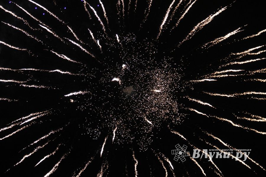 В Великих Луках зажглась новогодная ёлка (ФОТО)