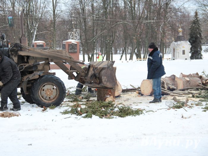 Главная городская ёлка отправилась на свалку (ФОТО)
