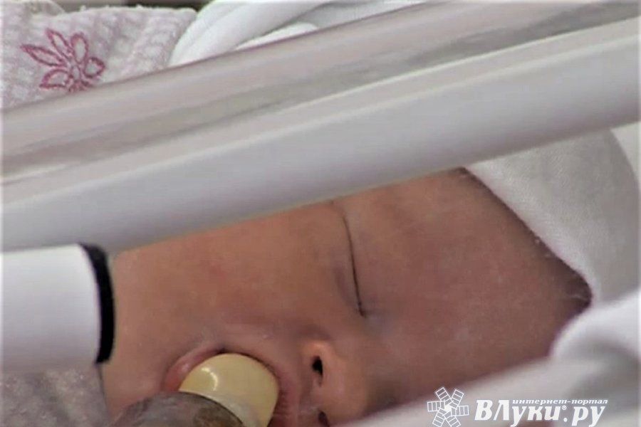 © ВЛуки.ру