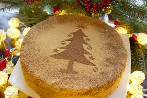 Они сделают Новый год незабываемым и волшебным (ФОТО+ВИДЕО)