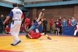 Великолукские самбисты завоевали 54 награды на Первенстве города (ФОТО)