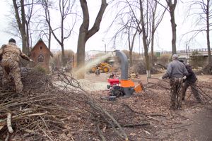 В городском парке орудует дробилка (ФОТО)