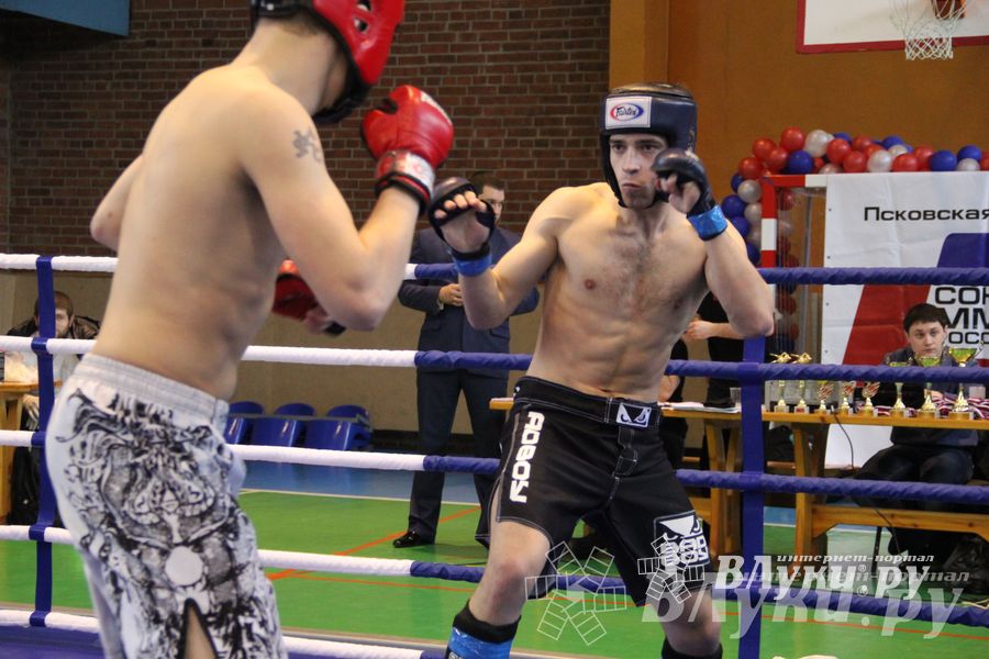 В Великих Луках прошел межрегиональный Открытый Кубок по смешанному боевому единоборству (фото)