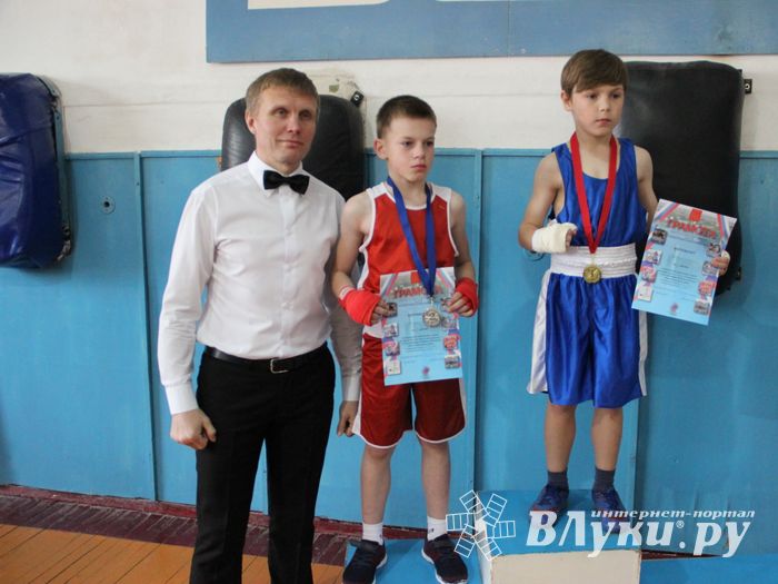 Юные великолучане выявили сильнейших боксёров (ФОТО)