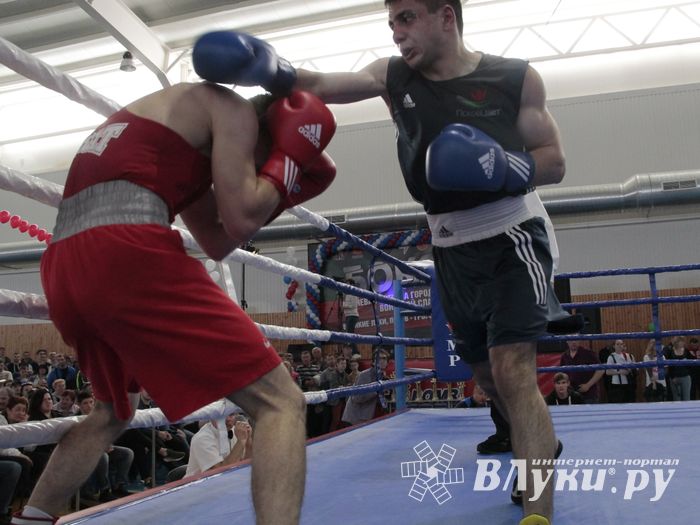 Матчевая встреча по боксу Великие Луки —Псков — Грозный (ФОТО)