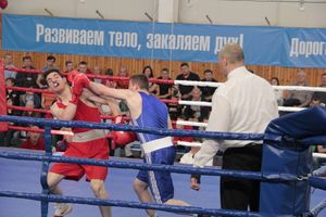 Матчевая встреча по боксу Великие Луки —Псков — Грозный (ФОТО)