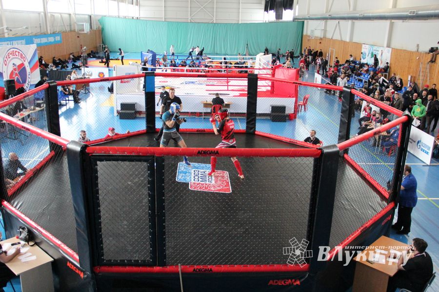 В Великих Луках прошло Первенство России по смешанному боевому единоборству (ФОТО)
