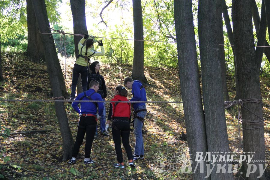 «Кубок первокурсника 2014» 