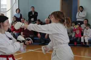 В Великих Луках прошел  турнир по Шотокан каратэ
