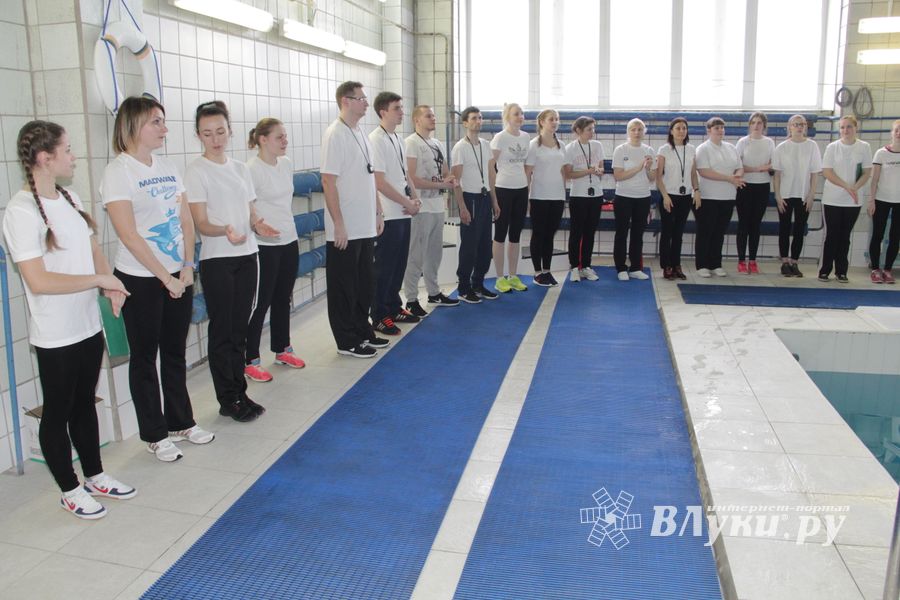 В Великих Луках прошли соревнования по плаванию «Быстрый Кашалот»