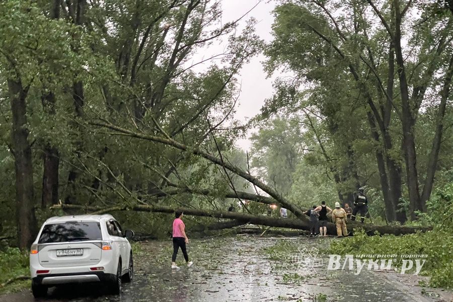 Весь ужас вчерашнего урагана в Великих Луках и районе (ФОТО, ВИДЕО)