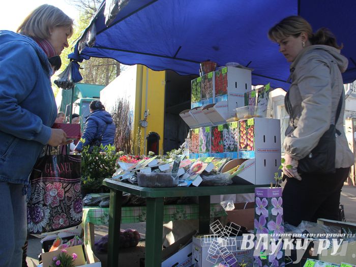 Традиционная весенняя ярмарка прошла в Великих Луках